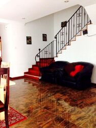 Lorong Marican (D14), Terrace #425099551
